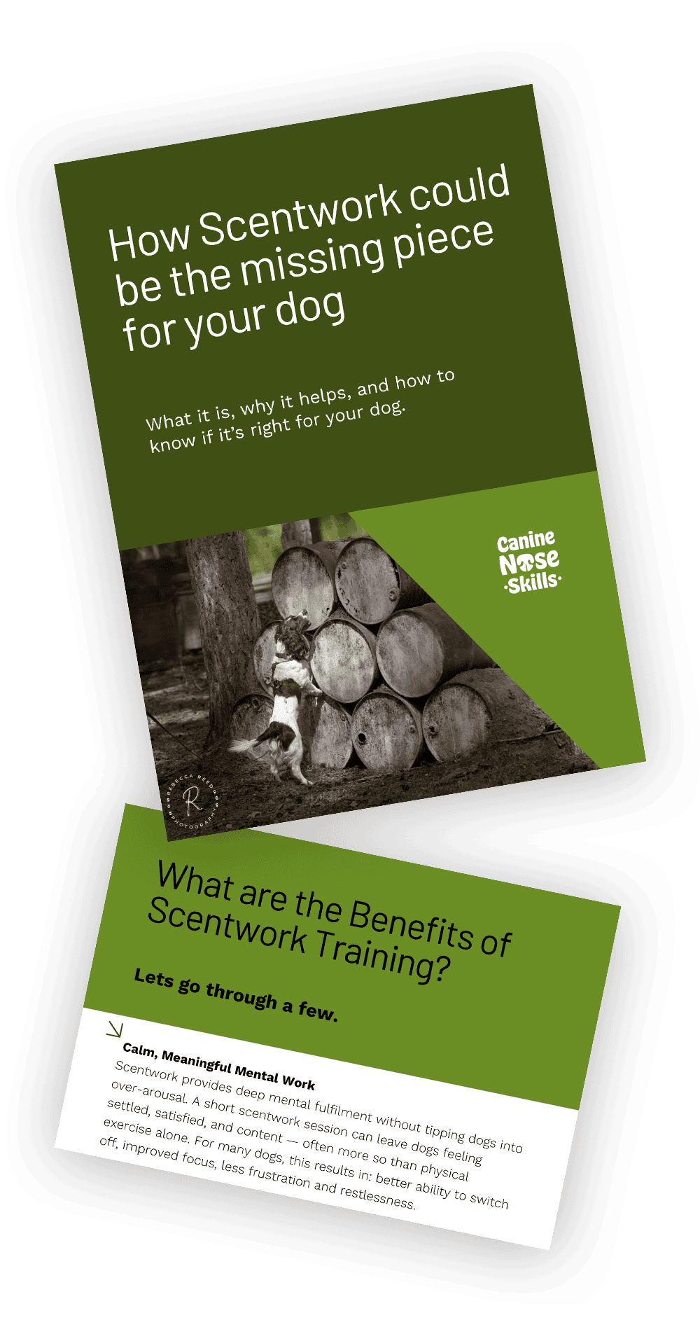 Scentwork for dogs free download