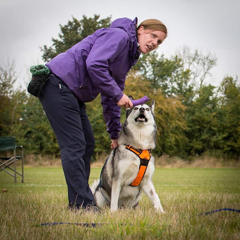 Dee Waddup from Dees Dogz