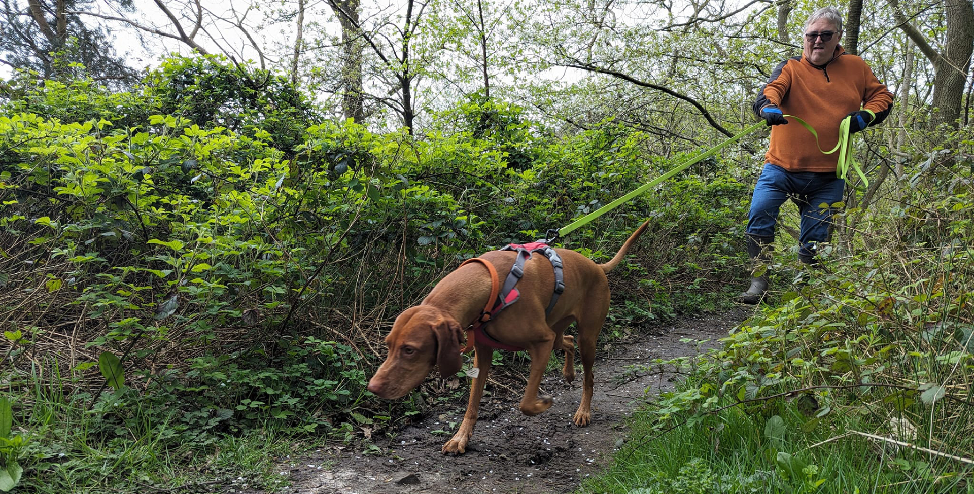 Mantrialing sessions with a professional and qualified dog trainer